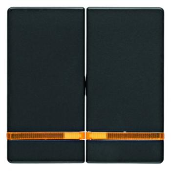 Berker Q.1/Q.3 Kontroll Serien Wippe anthrazit, samt 16276086