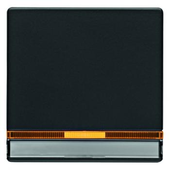 Berker Q.1/Q.3 Kontroll Wippe Beschriftungsfeld anthrazit, samt 16286086