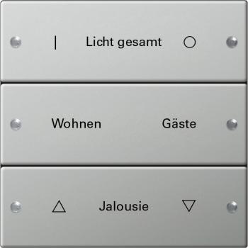 Gira Wippenset 3f beschr. System 55 Edelstahl 2133602