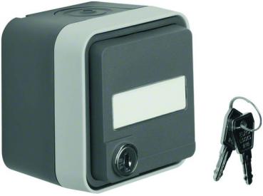 Berker W.1 IP55 Aufputz Steckdose mit Schloss grau 47393505