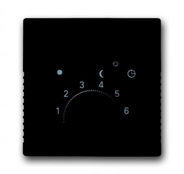 B+J carat®, Abdeckung für Temperaturregler, anthrazit 1795-81