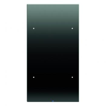 Berker Touch-Sensor 2fach Komfort Berker R.3 Glas, schwarz 75142155