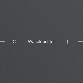 Gira Wippenset 1f indiv. Tastsens.4 TS4 Anthrazit(lack.) 5031928