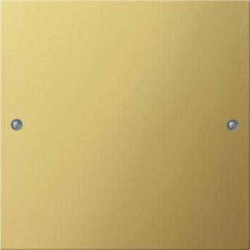 Gira Wippenset 1f System 55 Messing 2131606