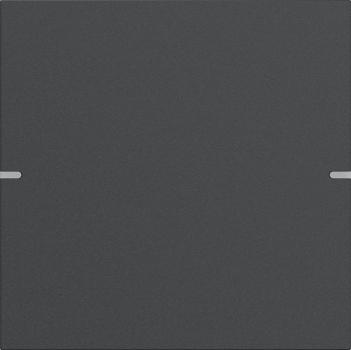 Gira Wippenset 1f Tastsens.4 TS4 Anthrazit(lack.) 5021928