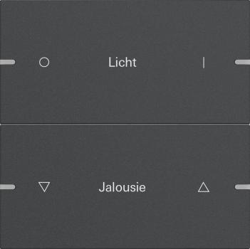 Gira Wippenset 2f indiv. Tastsens.4 TS4 Anthrazit(lack.) 5032928