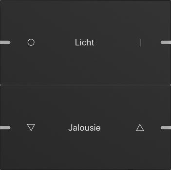 Gira Wippenset 2f indiv. Tastsens.4 TS4 Schwarz m(lack.) 5032905