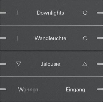 Gira Wippenset 4f indiv. Tastsens.4 TS4 Anthrazit(lack.) 5034928