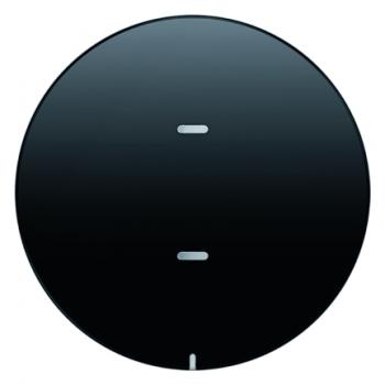 Berker Tast-Abdeckung 1fach für Tastsensor-Modul Berker R.1/R.3 schwarz, glänzend 75161865