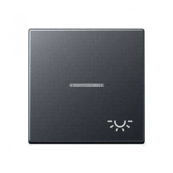 Jung Wippe 1fach mit Lichtleiter, Symbol Licht, Thermoplast lackiert, Serie A, anthrazit matt A590BFKO5LANM