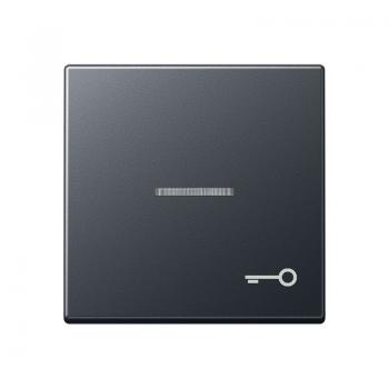 Jung Wippe 1fach mit Lichtleiter, Symbol Tür, Thermoplast lackiert, Serie A, anthrazit matt A590BFKO5TANM