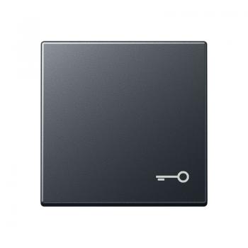 Jung Wippe 1fach, Symbol Tür, Thermoplast lackiert, Serie A, anthrazit matt A590BFTANM