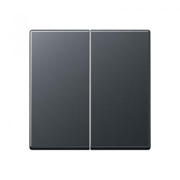 Jung Wippe 2fach, Thermoplast lackiert, Serie A, anthrazit matt A595BFANM