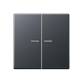 Jung Wippe 2fach mit Lichtleiter, Thermoplast lackiert, Serie A, anthrazit matt A595BFKO5ANM