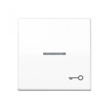 Jung Wippe 1fach mit Lichtleiter, Symbol Tür, Duroplast antibakteriell, Serie AS, alpinweiß ABAS591KO5TWW