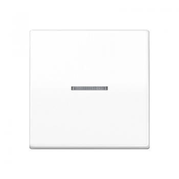 Jung Wippe 1fach mit Lichtleiter, Duroplast antibakteriell, Serie AS, alpinweiß ABAS591KO5WW