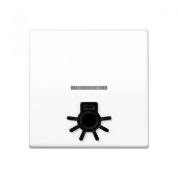 Jung Wippe 1fach mit Lichtleiter, mit abtastbarem Symbol "Licht", Duroplast antibakteriell, Serie AS, alpinweiß ABAS591L1KO5WW