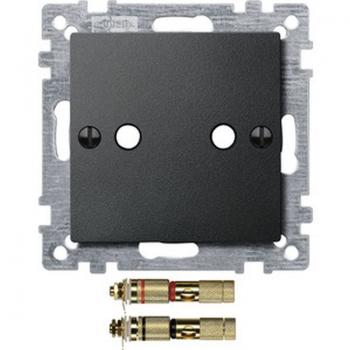Merten Zentralplatte mit High-End Lautsprecher-Steckverbinder, anthrazit, System M 469314