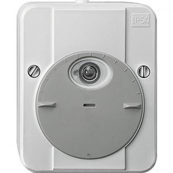 Merten ARGUS Dämmerungsschalter, ohne Schaltverzögerung, lichtgrau 544829