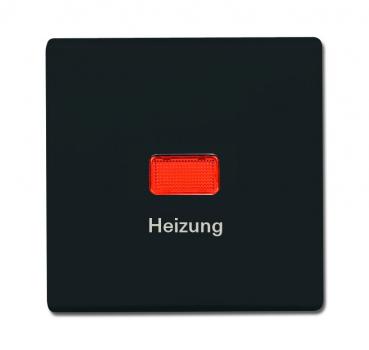 B+J allwetter Wippen Abdeckung für Heizung-Notschalter anthrazit 2102 H-35