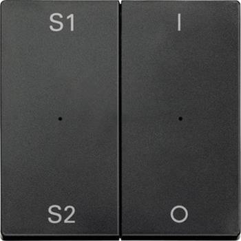 Merten Wippen fŸr Taster-Modul 2fach (Szene1/2, 1/0), anthrazit, System M MEG5228-0414