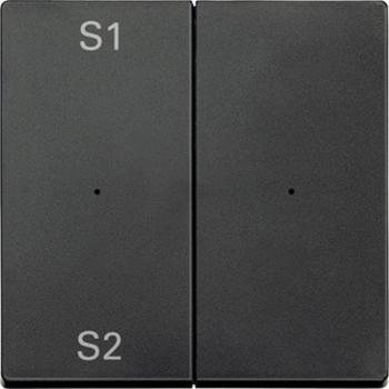 Merten Wippen fŸr Taster-Modul 2fach (Szene1/2, blank), anthrazit, System M MEG5226-0414