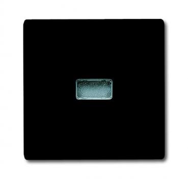 B+J allwetter Wippen Abdeckung für Kontroll-Wechselschalter anthrazit 2107-35