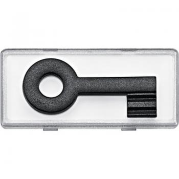 Merten Gro§es Schriftfeld mit tastbaren Kontrast-Symbol fŸr Wippen und Steckdosen mit Schriftfeld, SchlŸssel,klar 434792