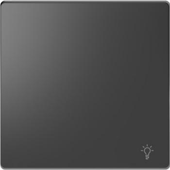 Merten Wippe mit Kennzeichnung Licht, Anthrazit, System Design MEG3302-6034