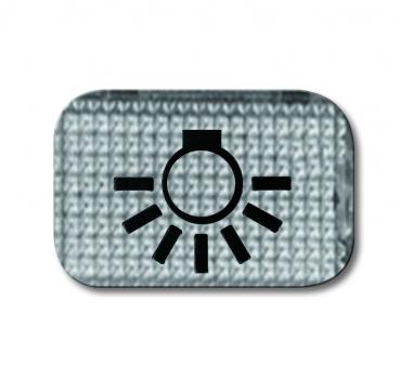 B+J Tastersymbol Licht, glasklar 2145 LI
