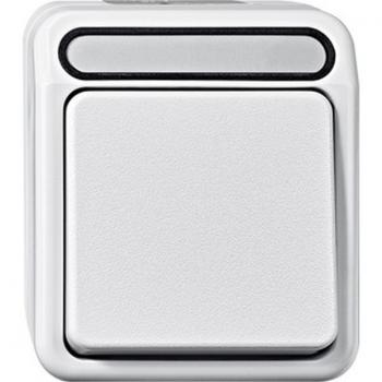 Merten AQUASTAR Taster mit N-Klemme Wechsel polarwei§ MEG3156-8019