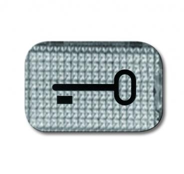 B+J Tastersymbol SchlŸssel, glasklar 2145 TR