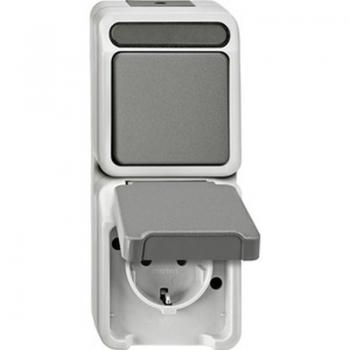 Merten AQUASTAR Steckdose mit Wechselschalter lichtgrau MEG3495-8029