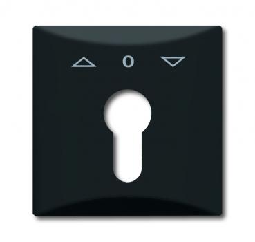 B+J allwetter Abdeckung für Profilhalbzylinder anthrazit 2155 PZ-35