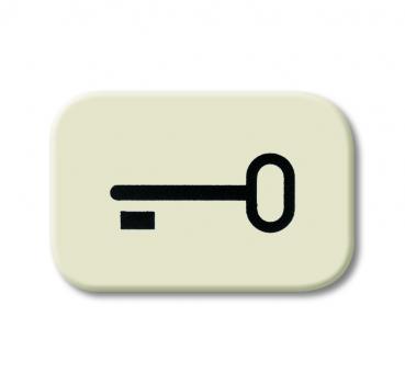 B+J Busch-Duro 2000¨ SI, Tastersymbol SchlŸssel, wei§ 2525 TR