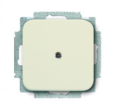 B+J Busch-Duro 2000¨ SI, Blindzentralscheibe, wei§ 2538-212