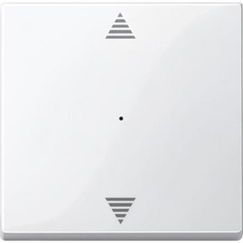 Merten Wippe fŸr Taster-Modul 1fach (Pfeile Auf/Ab), polarwei§ gl_nzend, System M MEG5215-0319
