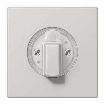 Jung LS990 Abdeckung Jalousie Drehschalter Lichtgrau LS1941LG