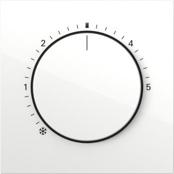 Gira Abd. RTR Kontroll Flächenschalter 2702112