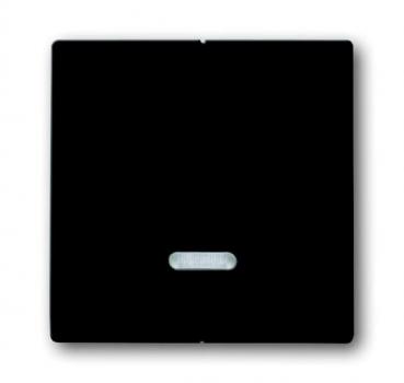 B+J carat®, Bedienelement für Seriendimmer, anthrazit 6545-81