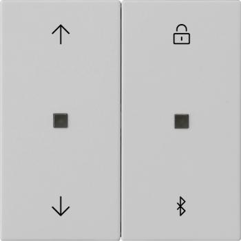 Gira S3000 Jal.- + Schaltuhr BT System 55 Grau m 5367015