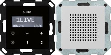 Gira UP-Radio RDS Lautsprecher System 55 Grau m 2280015