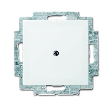 B+J balance SI Blindzentralscheibe alpinweiss 2538-914