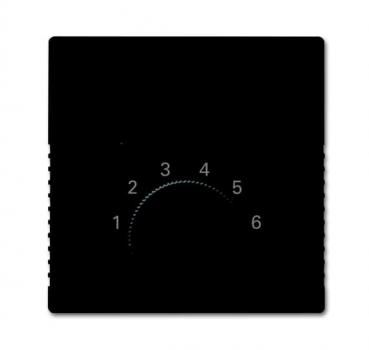 B+J Zentralscheibe, anthrazit, SI/Reflex SI, Bedienelemente fuer Raumtemperaturregler 1795 HK-81