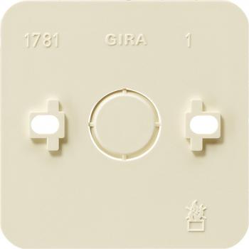 Gira Montageplatte 1fach Aufputz 008113