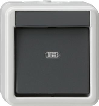 Gira IP44 WG Wippschalter Aus 2pol Aufputz Grau 010230