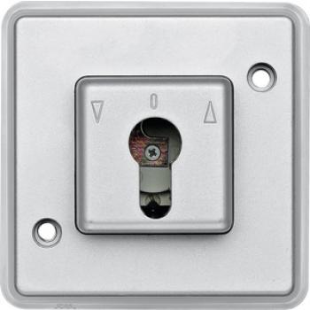 Merten Rollladentaster-Einsatz für Schließzylinder, mattsilber, PANZER 318460