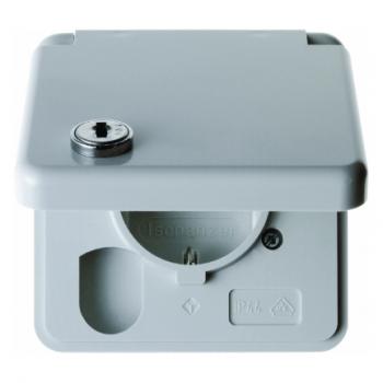 Berker Steckdose mit Abdeckplatte, Klappdeckel und Schloss grau, glaenzend wg Up 4212