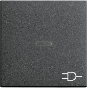 Gira System 55 Kontroll Wippe+Symbol Steckdose Anthrazit 020928