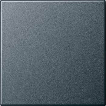 Gira System 55 Wippe Anthrazit 029628